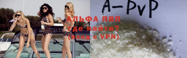 стаф Алзамай