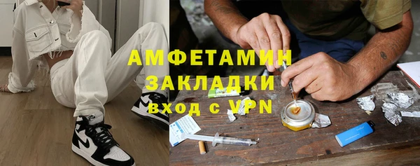 стаф Алзамай