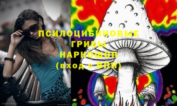 стаф Алзамай