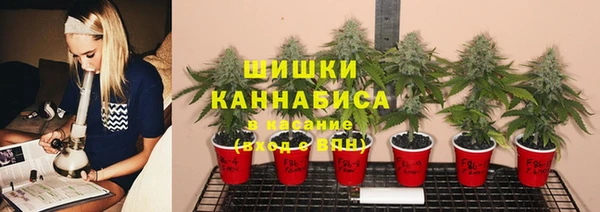 ALPHA PVP Дмитриев