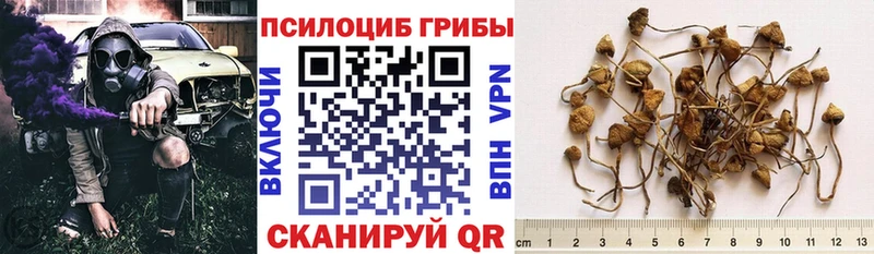 Псилоцибиновые грибы мухоморы  наркота  Среднеколымск 